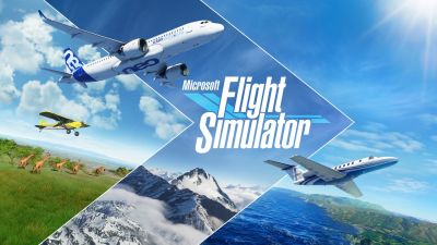Flight Simulator / Simulador de vuelo